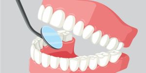 curiosidades sobre os dentes 49kb 35e19d34