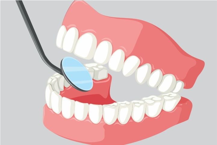 649082fe Curiosidades sobre os dentes humanos